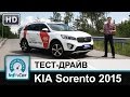 KIA Sorento 2015 - тест-драйв от InfoCar.ua (КИА Соренто)