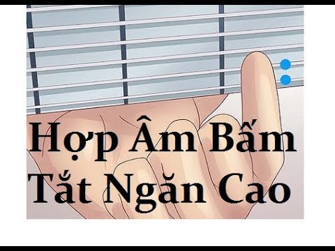 Video Hợp Âm Tắt Ngăn Cao Solo Đơn Giản Dễ Tập Guitar 5 Phút... - youtube