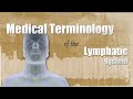 Medical terminology of the lymphatic system
