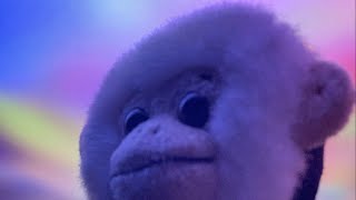 Somebody Else by CD Ghost (Music Video)