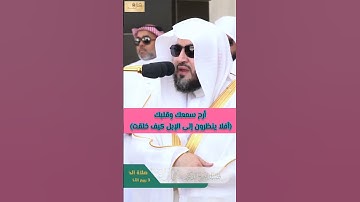 تلاوة تريح القلب 💚 الشيخ بندر بليلة #الحرم_المكي