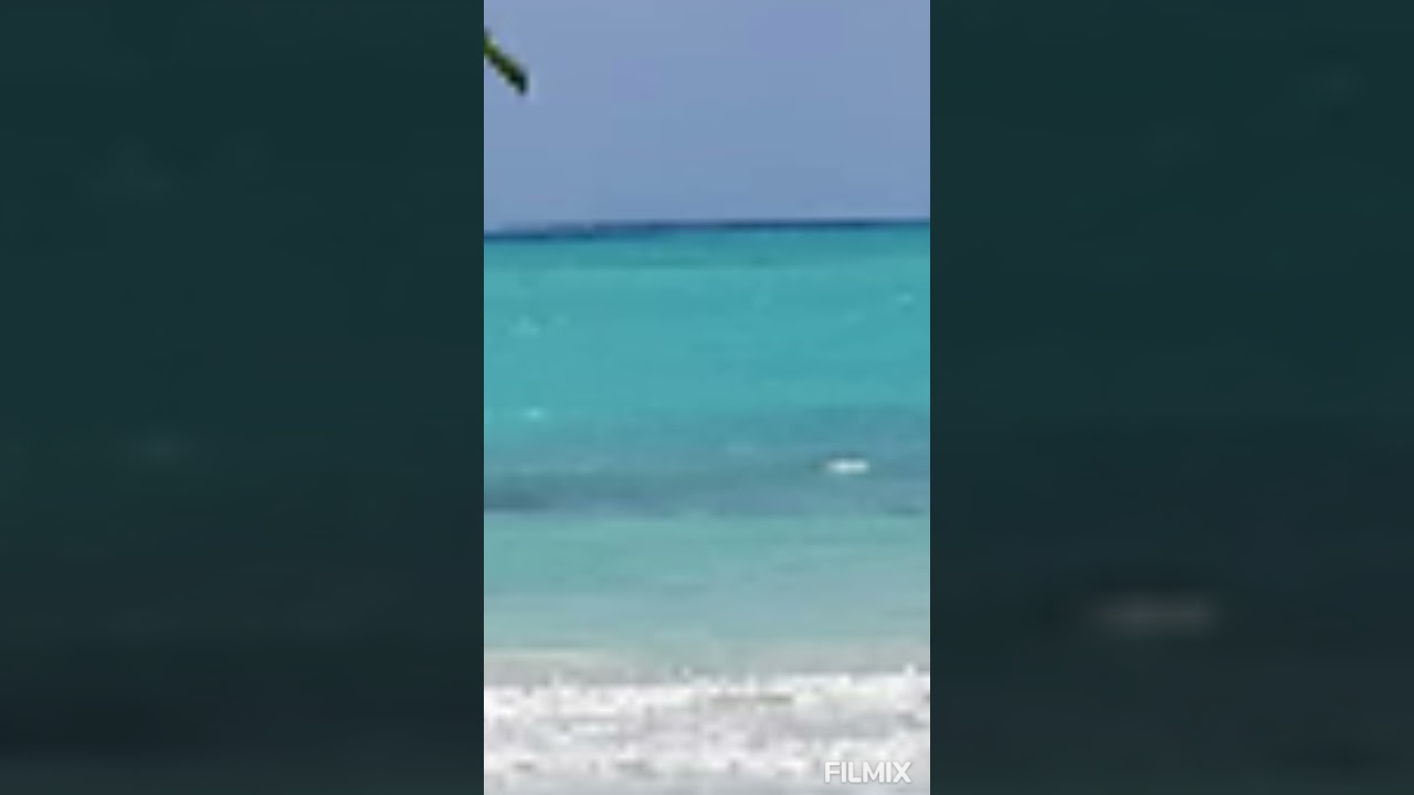 Tutu's tutorials: Going to the beach 🏖