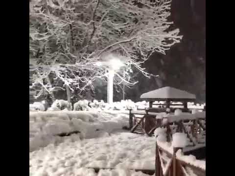 حالات واتس اب قصيره عن الشتاء والثلج مع صوت نغمة ثلج ثلج عم بتشتي الدنيا ثلج فيروز