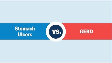 Acid 101: The Difference Between GERD vs. Stomach Ulcers