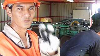 NP MARINE PORT Suratthani, Thailand 2011.mpg