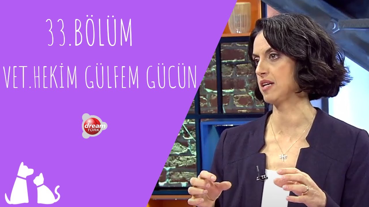 Hayvanlarımızın hasta Olup Olmadığını Nasıl Anlarız? | ÇOK YAŞA CAN DOSTUM