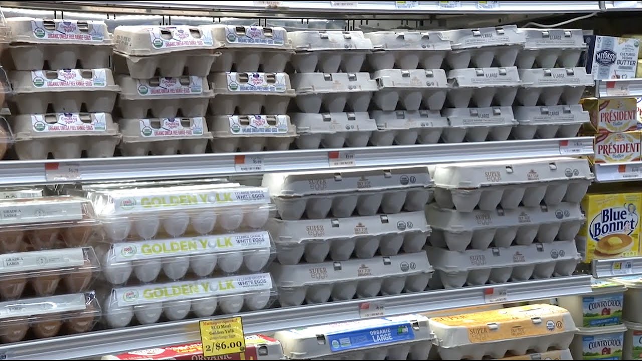 Egg prices surge as bird flu continues to impact supply - YouTube