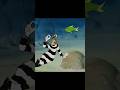 Droopy Swims With Fish Clips Funny Cartooncharacter Cartoon Looneytunes Droopydog Droopy Swims With Fish Clips Funny Cartooncharacter Cartoon Looneytunes Droopydog