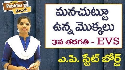 Mana chuttu unna mokkalu (Full Lesson) 3rd Class EVS-Telugu Video Lessons |  A.P Telugu Syllabus