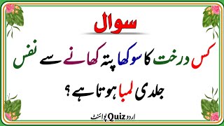 GK Questions and Answers - Urdu Quiz - Sawal Jawab - Islamic Paheliyan - Trivia - Urdu Quiz Point screenshot 2
