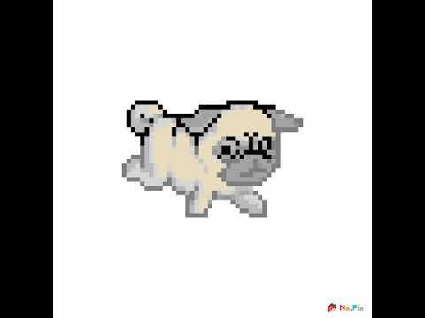 Pugs - YouTube