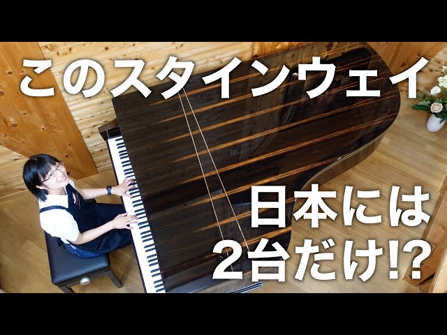 You've never seen a piano like this] This special Steinway model