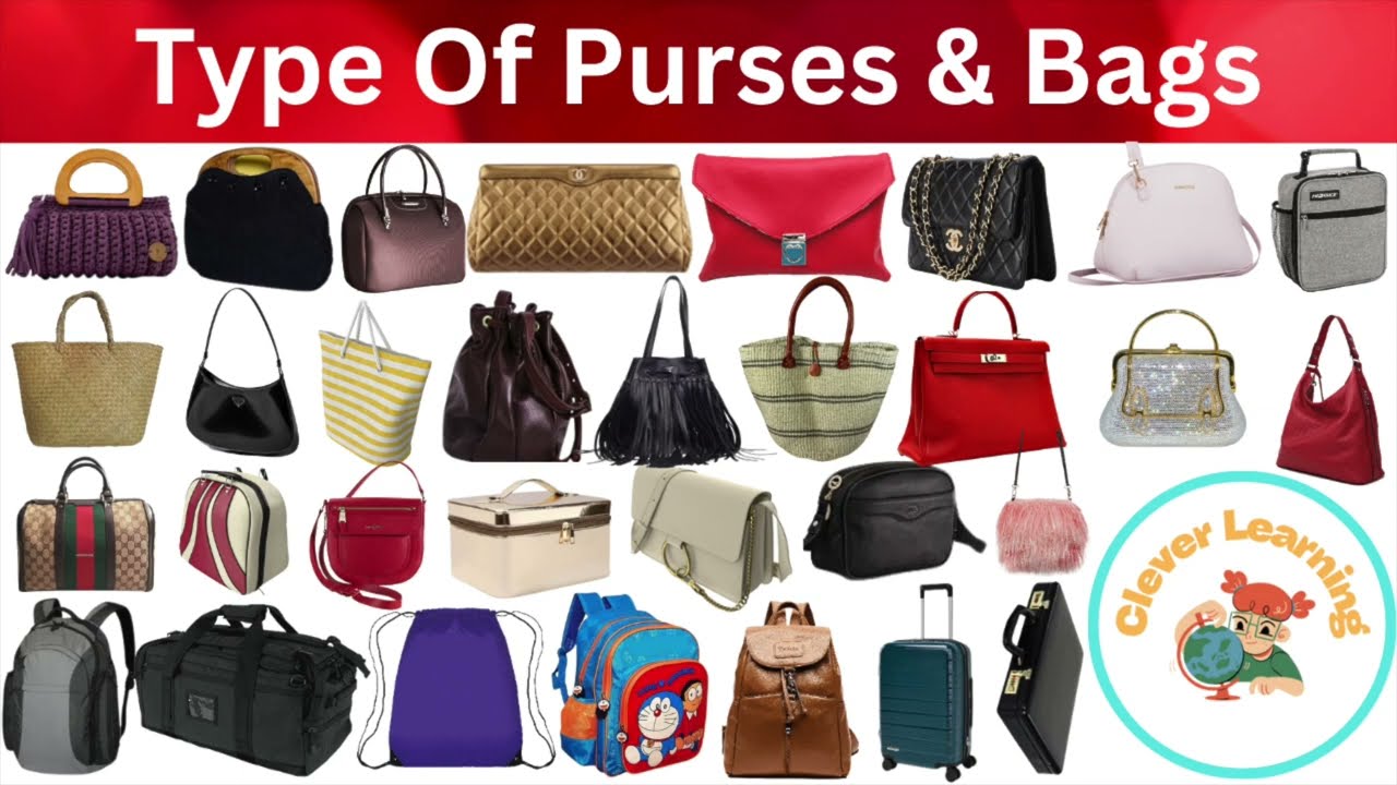 pictures of different types of bags - Google Search | Types of bag, Bags,  Purses and handbags