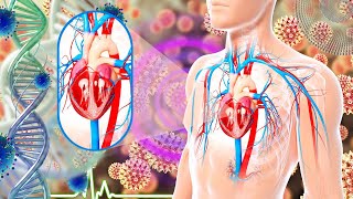 Full Body Repair and Regeneration at 432Hz - Physical & Emotional Body Healing - Cardiovascular Heal