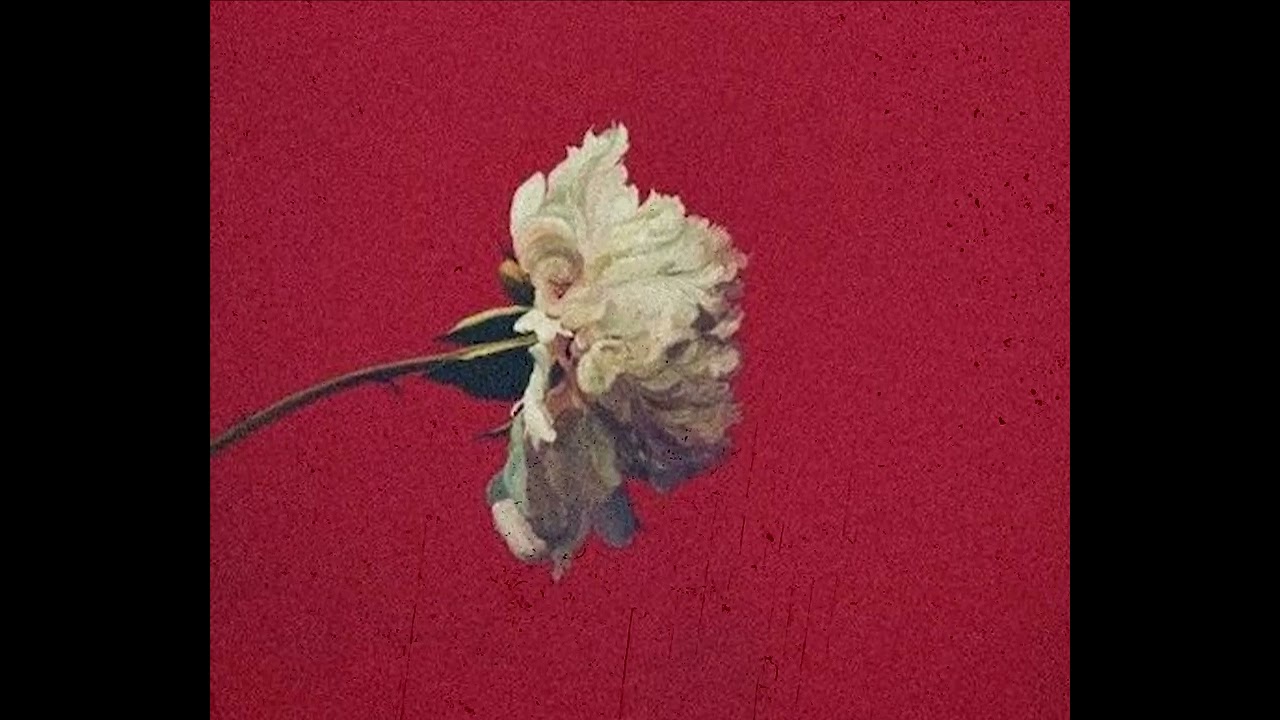 Earl Sweatshirt x Alchemist Type Beat 