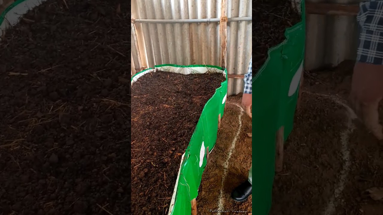 Vermicompost Bed Installation/மண்புழு உரம் தயாரிக்கும் சிறந்த முறை/குப்பையில் கிடைக்கும் உரம் #pvf