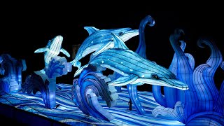 Aqua Lanterns at CMA