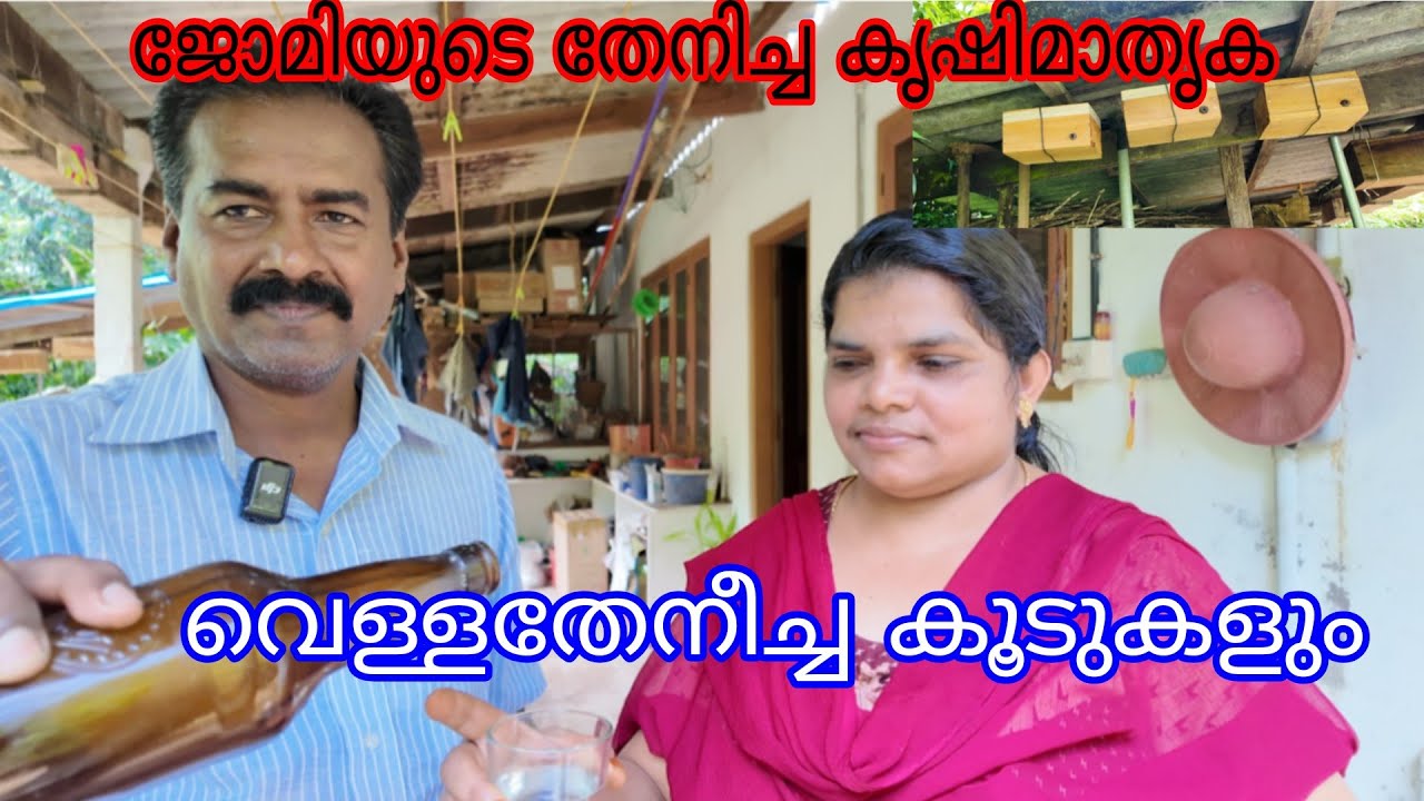 Honey bee White and Pannimookan#Antony Muniyara Vlogs