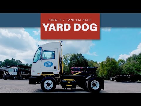 Auto Car Yard Dog