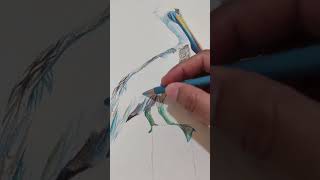 Así se colorea un pelícano! #pelicano #dibujo  #prismacolor #pelican