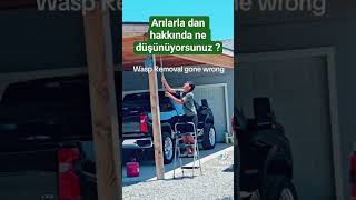 Arılarla dans hakkında fikitiniz nedir