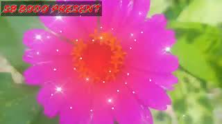 Nwngni khonthaiya ngni methaiya old bodo song || Gaoutom Bhrama 2021