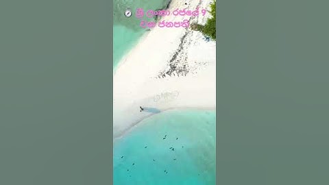 අභිනව ජනපති අනුර කුමාර #trending #trendingshorts #slpresident #viralvideo