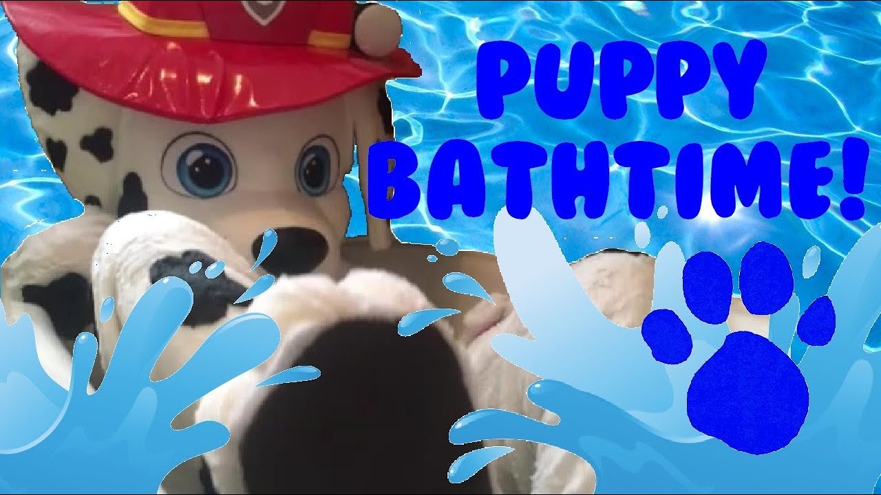 PUPPY BATHTIME! 💦 Marshall nimmt ein Bad 😊 | 🔥 Marshall Dog Puppy
