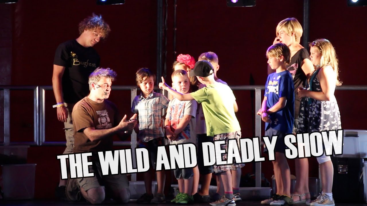 The Wild and Deadly Show - Bugfest - YouTube