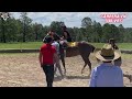 La Grandiosa Vs El Terco, Taste el Coyote fuerte encuentro en La Sierra.