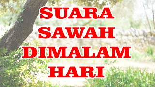 Suara Alam di Malam Hari | Suasana Sawah Malam Hari | Suara Pedesaan Malam Hari | Suara Alam #8