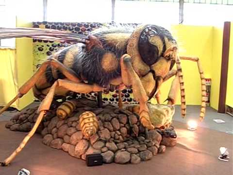 仙台市科学館の巨大スズメバチ Youtube