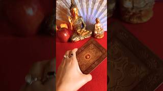 #tarotresponde #tarot #taro #baralhocigano #mulher #mensagem #laroye #cigana #tarotdodia #milagres