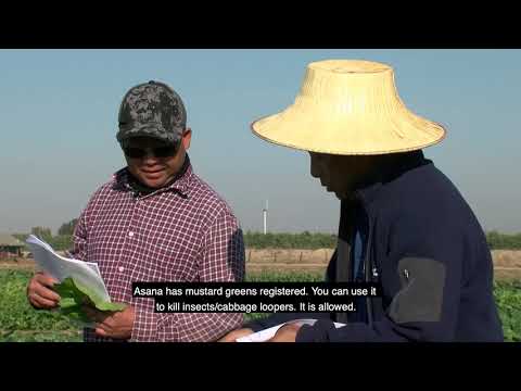 Video: Greensand Garden Application - Yuav Siv Greensand Fertilizer li cas