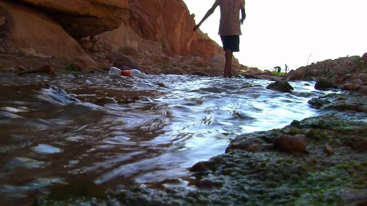 فيلم وثائقي - صوت من الغور