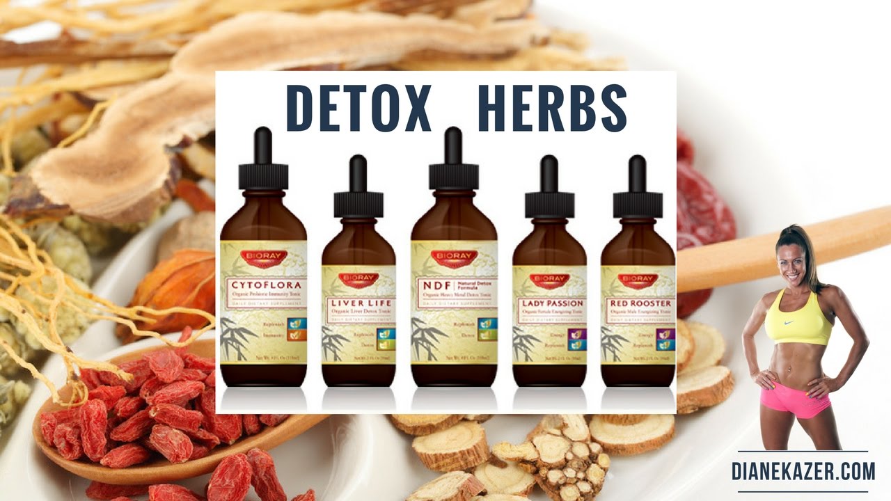 Best Cleanse & Herbs for Weight Loss PERIOD! YouTube