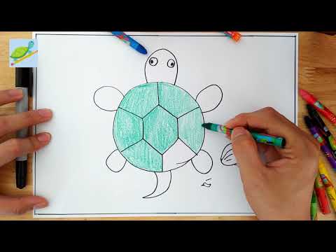 Vẽ Con Rùa - Bé Vẽ Con Rùa | How To Draw Turtle For Kids | Drawing For Kids