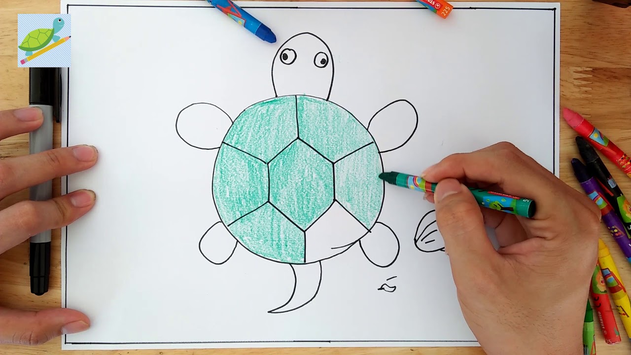 Vẽ Con Rùa - Bé Vẽ Con Rùa | How To Draw Turtle For Kids | Drawing ...