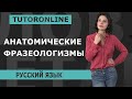 Анатомические фразеологизмы и их значения. Фразеологизмы в русском языке | Русский язык