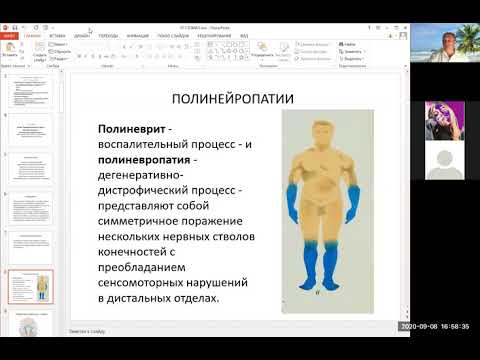 7. Периферическая нервная система / Peripheral nervous system