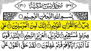 Surah Yasin (Yaseen) سورة يس 🕌 | Relaxing Recitation | With Arabic Text | |Ep 337 Qalb Tilawah