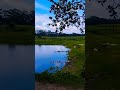 Gramer Sundor ak ti disso#youtubeshorts #youtube #rj Rafsan Blogs #2023