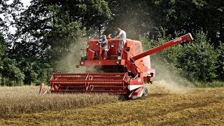 Żniwa 2012 Z Bizonami I Full Hd I