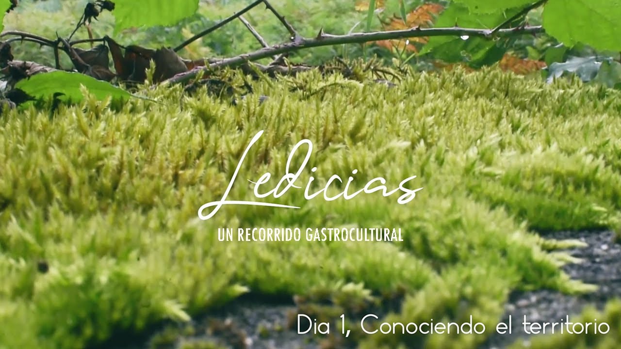 Día 1, Conociendo el territorio | #Ledicias | Un Recorrido Gastrocultural