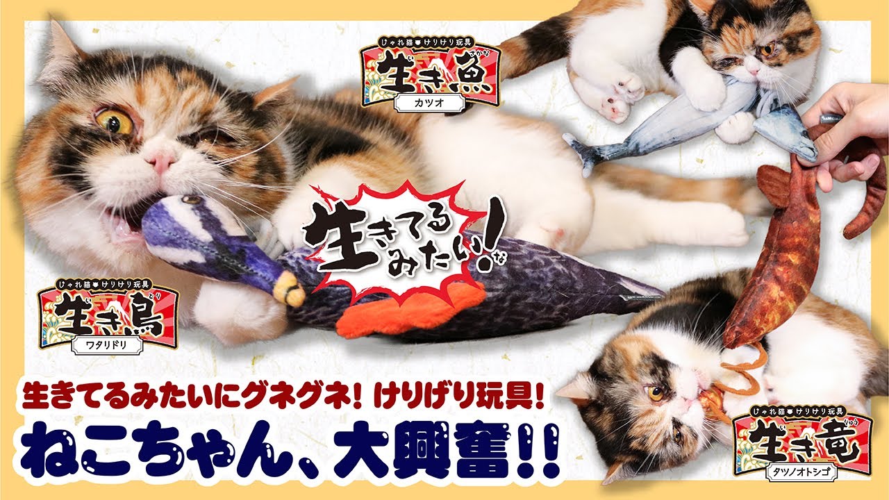 じゃれねこ『6月☆51 海中×さかな②』 maxresdefault.jpg