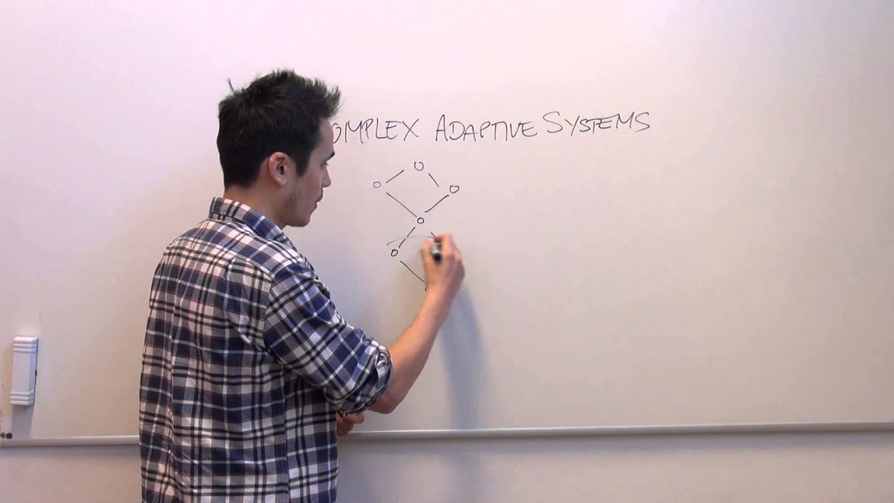 What are complex adaptive systems?