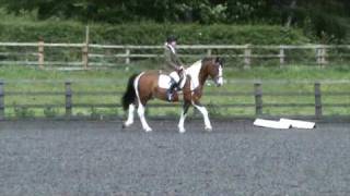 PRELIM 12 DRESSAGE