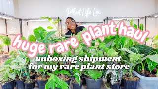 Huge Rare & Variegated Plant Haul |New Plant Shipment For My Plant Store |Small Business Studio Vlog