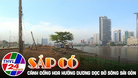 Sắp có cánh đồng hoa hướng dương dọc bờ sông Sài Gòn