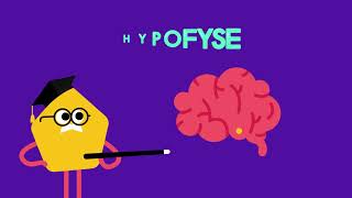 Groeihormoonstoornis - Weetwatikheb